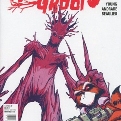 ROCKET RACCOON AND GROOT (2016) #1A