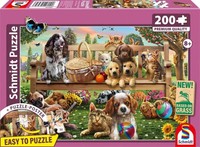 Gartenpicknick FüR Hund Und Katze | Mehrteiliges Produkt | Deutsch | 2025