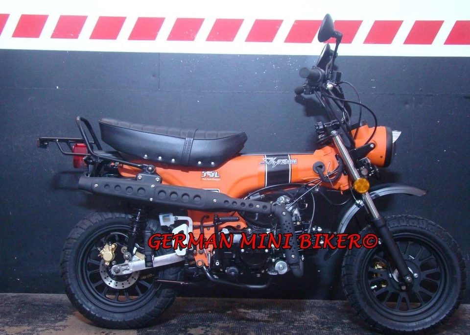 Skyteam Skymax 125 Special-Edition mit 12" Räder E5+ - Bild 2 von 4