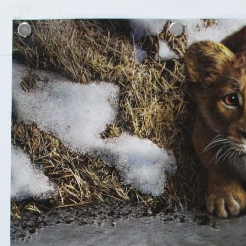 Mufasa The Lion King 2024 Disney Double Sided Original Movie Poster 27" x 40" - Picture 2 of 7