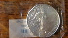 2019 Uncirculated American Eagle Silver Dollar 1 oz, From A Local Estate