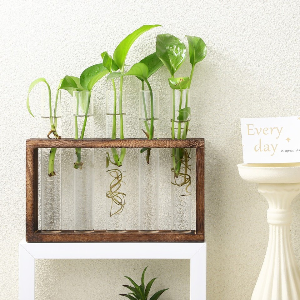 Terrarium Rack Pics Tabletop Terrarium Plant Propagation Vase Set Glass Tubes Wood Rack ...