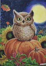 Bead Embroidery Kit Owl DIY Beaded Stitching Stamped Needlepoint a4-k-280