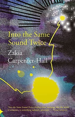 INTO THE SAME SOUND TWICE by Zakia Carpenter-Hall Paperback Self Help Business