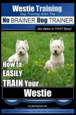 Westie Training  Dog Training with the No BRAINER Dog TRAINER ~ We Make it THAT