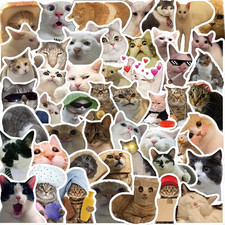50Pcs Cat Stickers Pack, Kawaii Vinyl Waterproof Stickers for Laptop, Water Bott