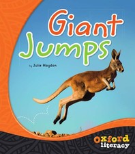 Ted Setnikar Anne Johnson Kerry Kenih The Lacemaker's S (Paperback) (UK IMPORT)