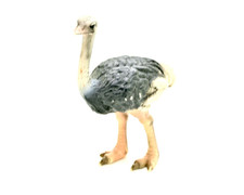 Schleich 14325 Strauss aus Sammlung