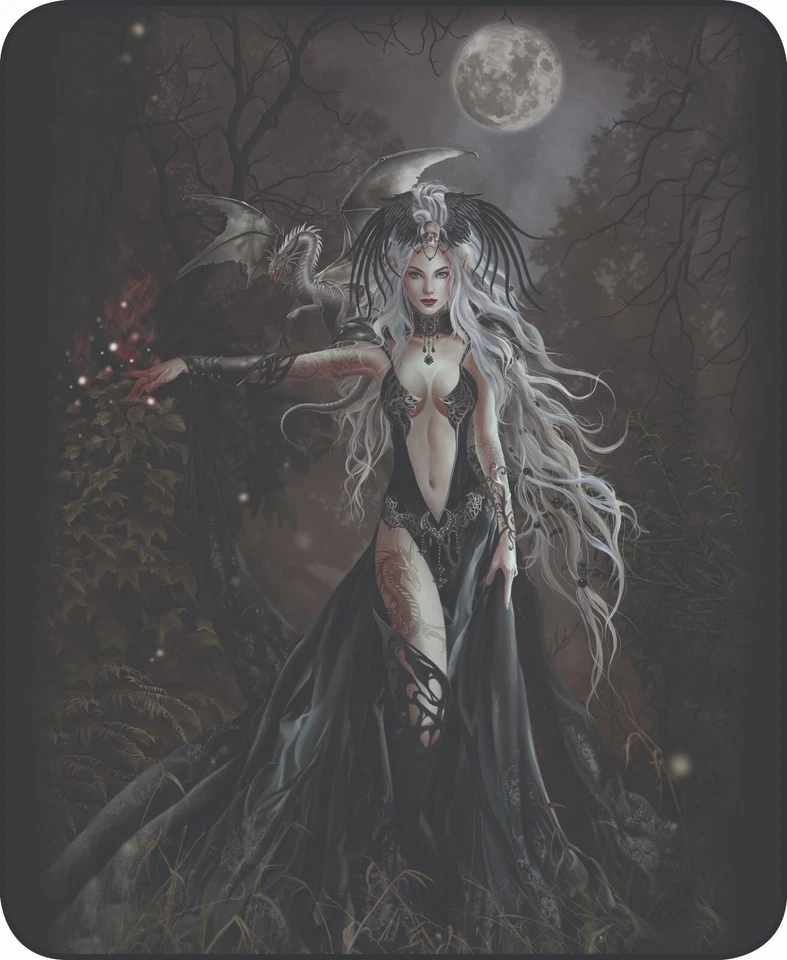 REGAL COMFORT Queen Size Queen of Havoc Fantasy Gothic Witch Full Moon Soft Faux Fur Blanket