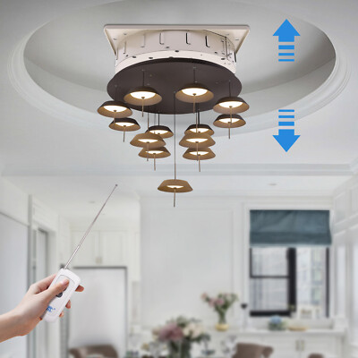 DDJ100-5 Chandelier Lifter Living Room Crystal Lamps and Lanterns Lift Electric
