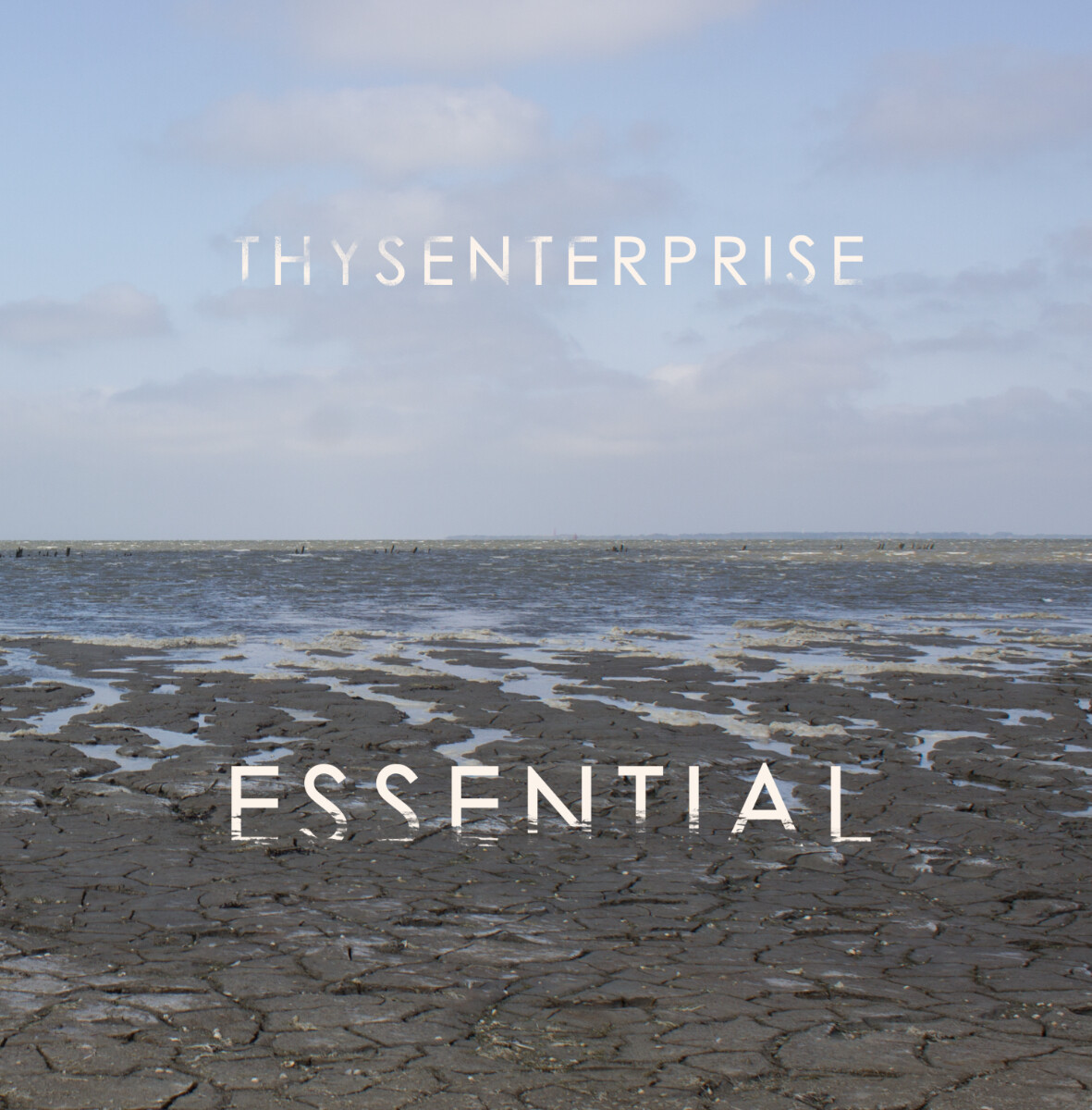 Thysenterprise ESSENTIAL (Vinyl LP) 12" Album (Gatefold Cover)