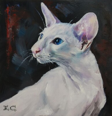 Oil painting on wood panel Portrait of a white Oriental cat Hand painted 15x15cm