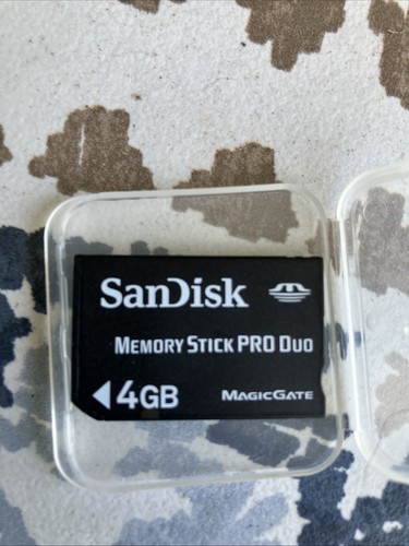 SanDisk Carte Memory Stick Pro Duo MagicGate Carte Mémoire Flash 1 Go