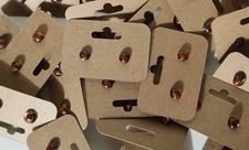 Real Ladybug Earrings