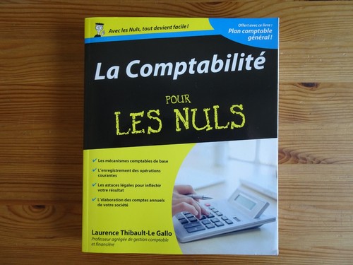 La comptabilité pour les Nuls, Laurence Thibault-Le Gallo, 2009 | eBay