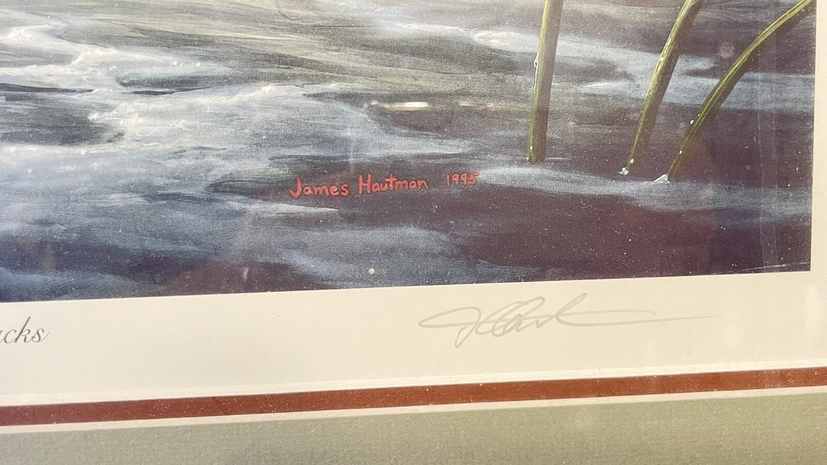 James Hautman,”Fowl Weather - Canvasbacks” Excellent 422/5000