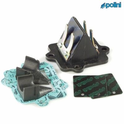 POLINI P2130046 AEROX LAMELLAR PACKAGE 2T PGO 50 Big Max 2T / E2 1995-1995
