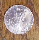 1991 American .999 Silver Eagle (005)
