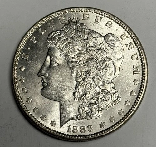 BU 1889-P Morgan Silver Dollar (all original!), U.S. $1 Coin Mint State MS