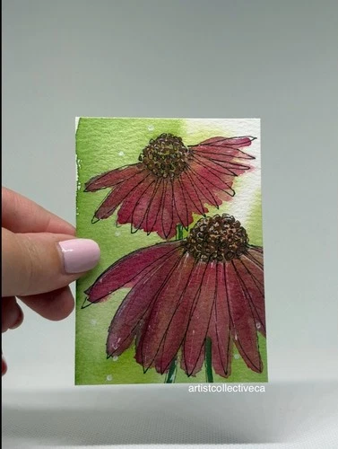 aceo original painting watercolour coneflowers artistcollectiveca Lisa
