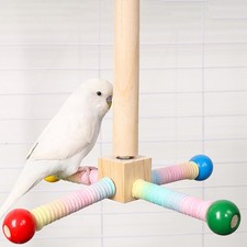 Bird Perch Toy Interactive Parrot Stand