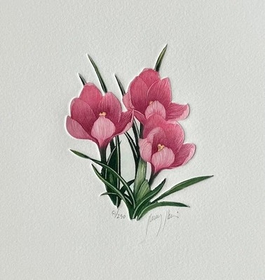 Pink Crocus - S/N Etching by Unknown Artist - Signed - MINT - 6 X 5
