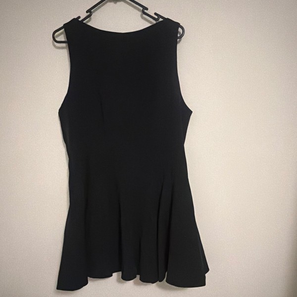 FORECAST Sandy Panel Fit & Flare Mini Dress Black 16 Boat Neck Zip Lined