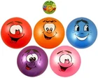 Set Of 5 Large Fruity Smelly Scented Kids Fruit Balls animated