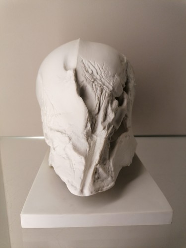 Goebel Porzellan Skulptur T. Duttenhoefer SCHÄDEL auf Platte limitiert 7 / 10 - Bild 4 von 13