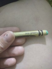 #5 Vintage Crayola Crayons Retired Colors Sea Green-Pacific Blue Orchid