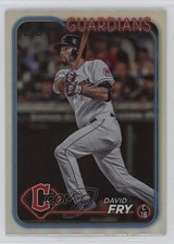2024 Topps Series 2 Rainbow Foil David Fry #446 a8r