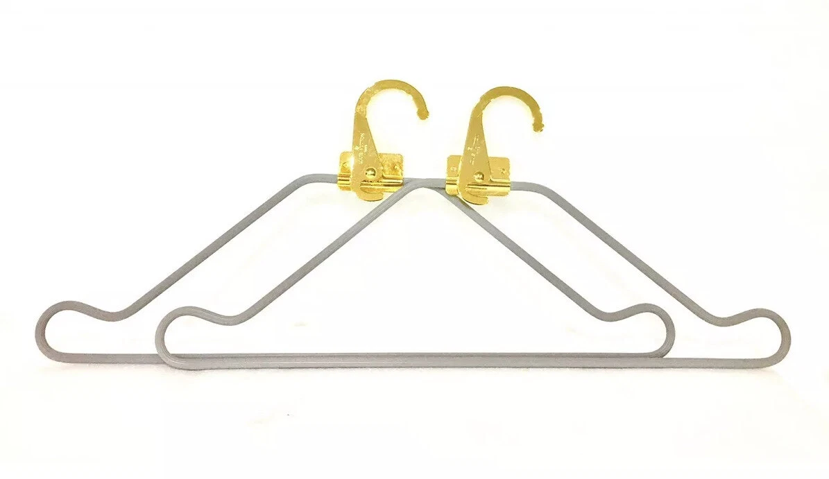 Authentic Louis Vuitton garment bag with hanger Bags and purses