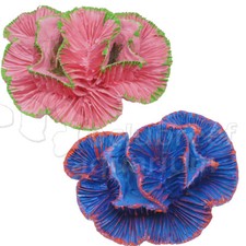 Small Open Brain Coral Ornament Pink or Blue 4.5"