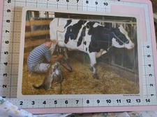 School Multicultural 12p Wood Puzzle SPED Disability Speech Fine Motor Cow Farm