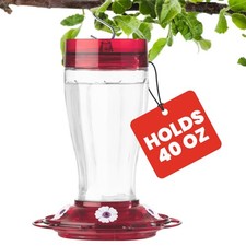 Bird Health Big Gulp Hummingbird Feeder, Glass Hummingbird Feeders for Outdo...