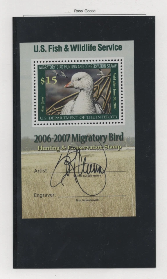 US 2006-2010 COLLECTION OF 8 DUCK STAMPS 4 SIGNED BY THE ARTIST ALL MNH - Image 2 of 4