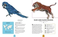 Paperscapes: The Amazing World of A..., Butterfield, Mo