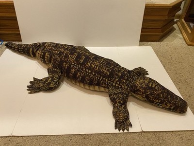 Alligator Body Pillow 49 
