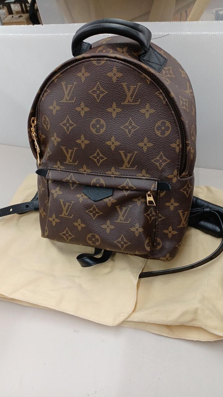 Louis Vuitton Palm Springs PM Backpack M41560 in Monogram Canvas