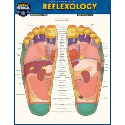 Reflexology : a QuickStudy Laminated Reference Guide -  NEW Vincent Perez 2025