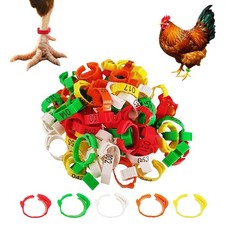 100 Pcs Adjustable Poultry Leg Bands, 5 Color Numbered Chicken Identification...