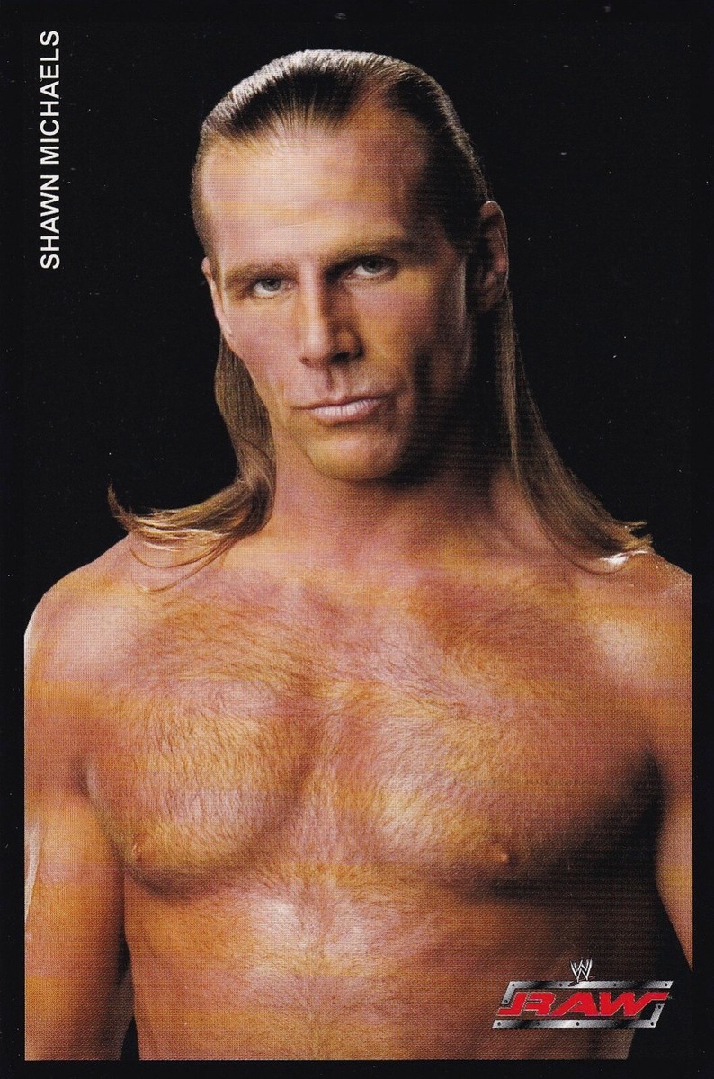 Shawn Michaels WWE Wrestling Postcard International RAW Smackdown