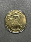2000 American Eagle 24K Gold Plated  1oz  .999  Silver Coin