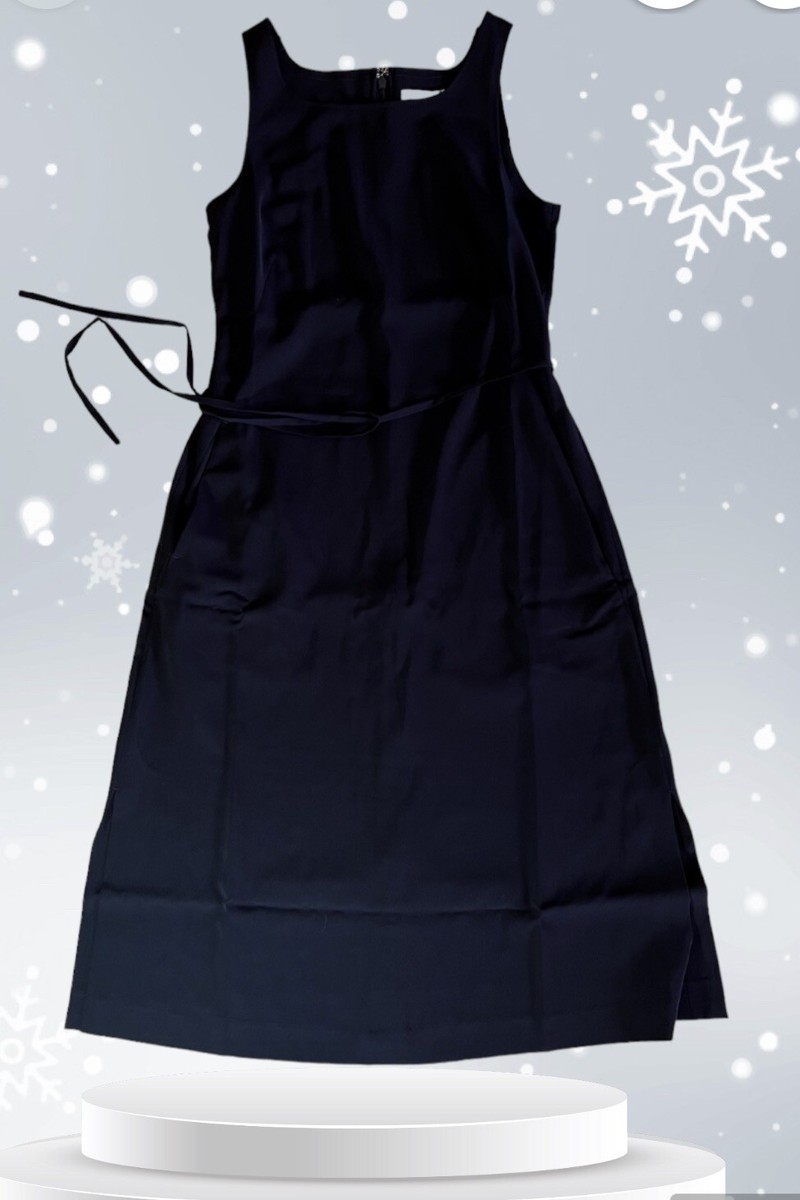 ministry of supply swift satin dress Ministry of Supply Women's Swift Sheath Dress Sale
