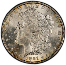 1891-S Morgan Silver Dollar PCGS GOLD SHIELD AU58 (Looks UNC) RIM TONED BEAUTY!