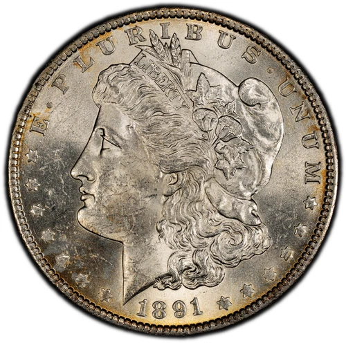 1891-S Morgan Silver Dollar PCGS GOLD SHIELD AU58 (Looks UNC)  RIM TONED BEAUTY!