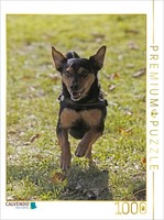 Calvendo Puzzle Rennender Mischlingshund | 1000 Teile Lege-GrößE 64 × 48 Cm Foto