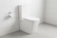 Modern Rimless Back to Wall Toilet Short Projection WC Pan Dual Flush & Soft