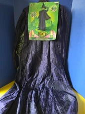 Girls Wicked Elphaba Dress With Cape & Hat Halloween Costume Sz. LG. 10/12