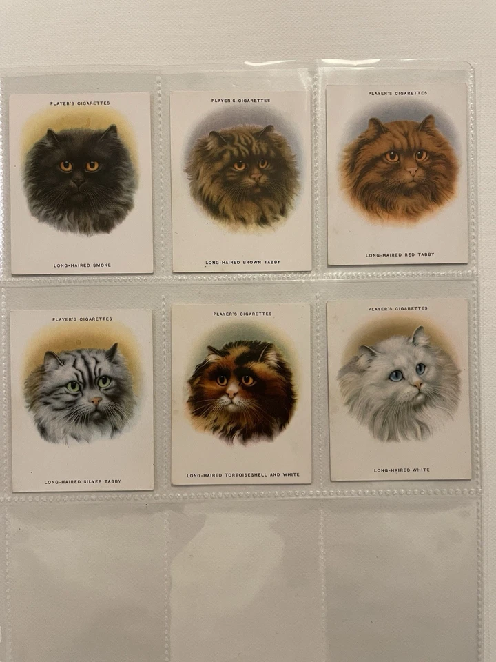 John Player & Sons Cigarette Cards - Cats - Complete Set Of 24. - Image 3 of 4